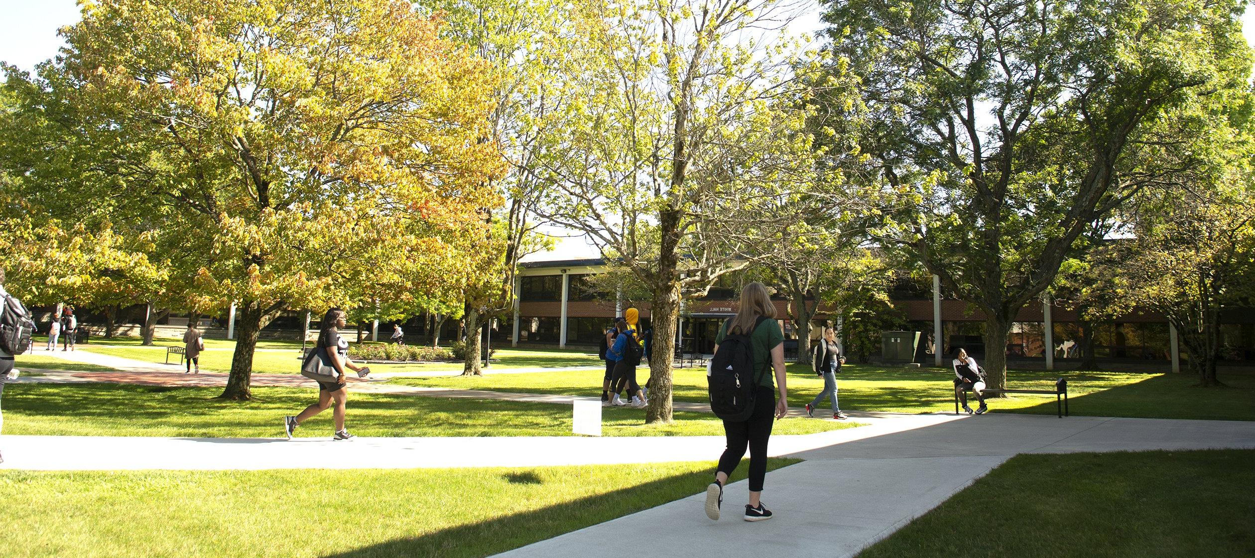 Academic quad at Utica University